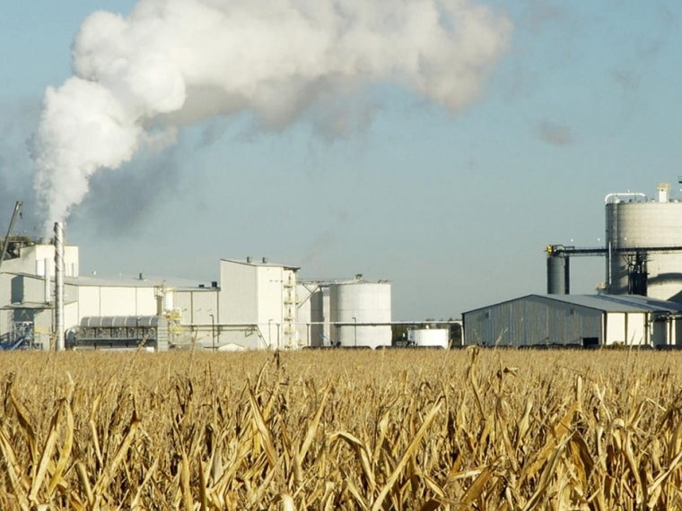 Изображение Оператор процесса переработки зерна в учебном центре Альянс