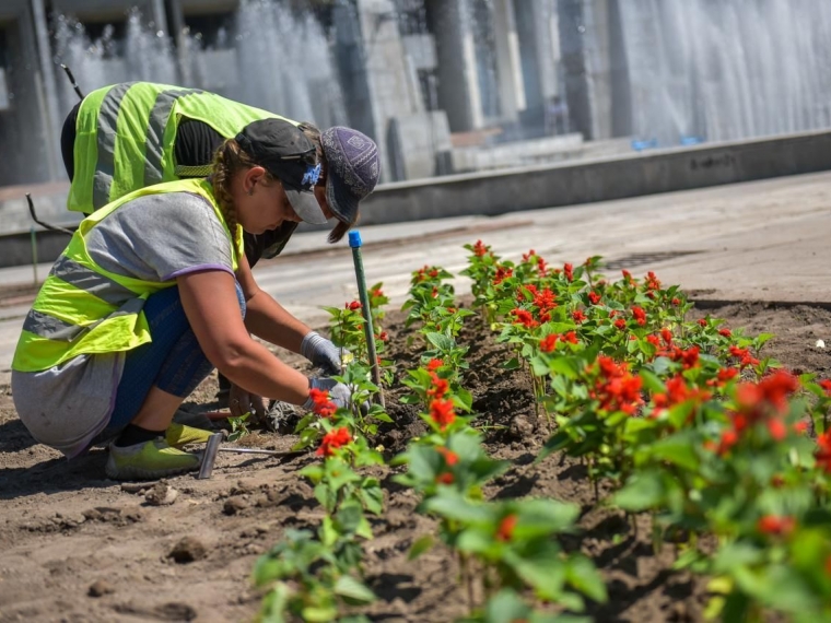 Изображение Рабочий зеленого строительства  в учебном центре Альянс